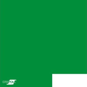 Orafol Oracal 751 062 Gloss Light Green 1260mm